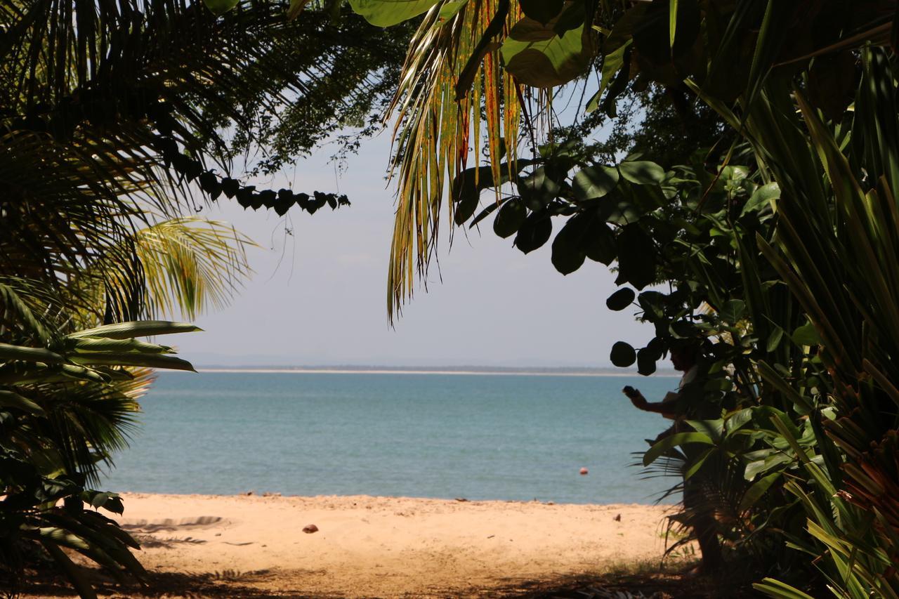 Coroaci Beach House Barra Grande  Kültér fotó